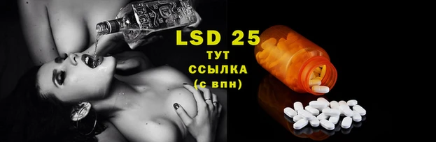 марки lsd Гусиноозёрск