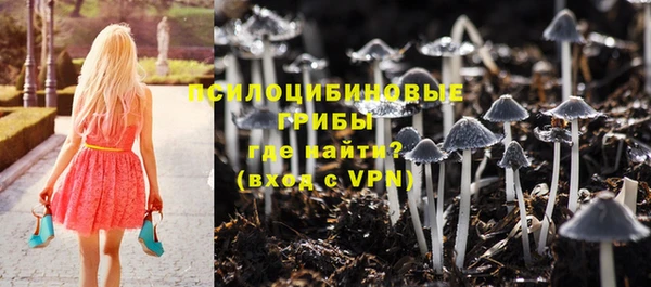 марки lsd Гусиноозёрск
