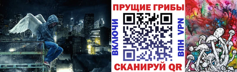 Псилоцибиновые грибы MAGIC MUSHROOMS Мещовск