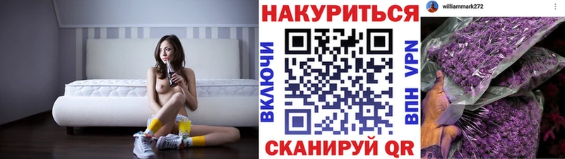 Конопля семена Купить закладки Мещовск